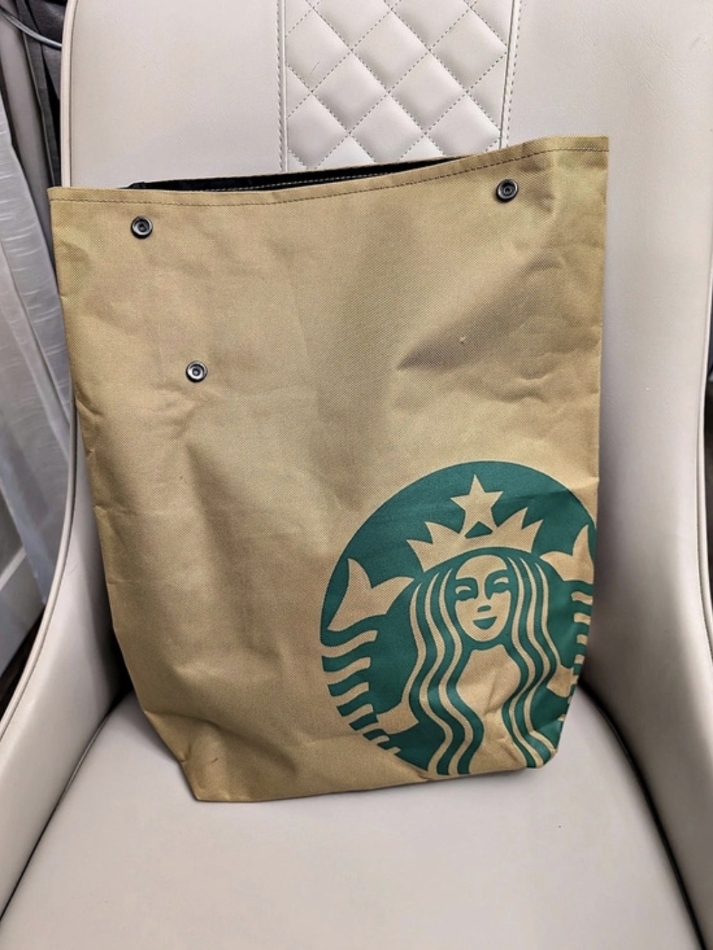 Vintage Starbucks Backpack Brown & Green